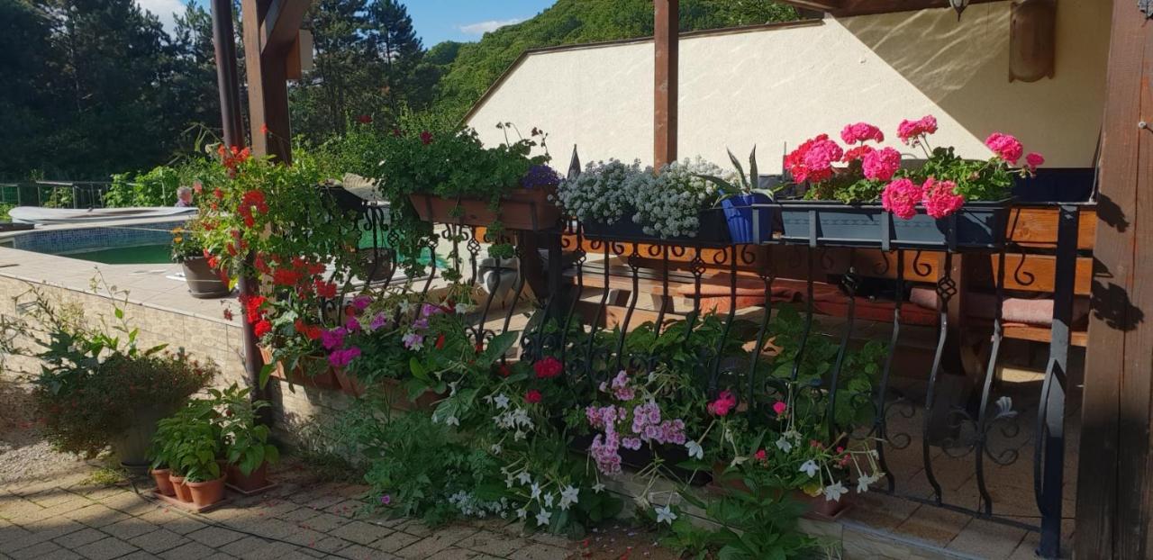 Limpedea Green House バイア·マーレ エクステリア 写真