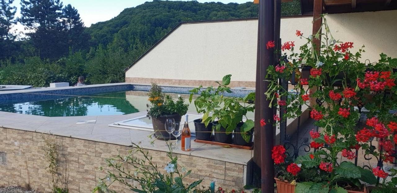 Limpedea Green House バイア·マーレ エクステリア 写真